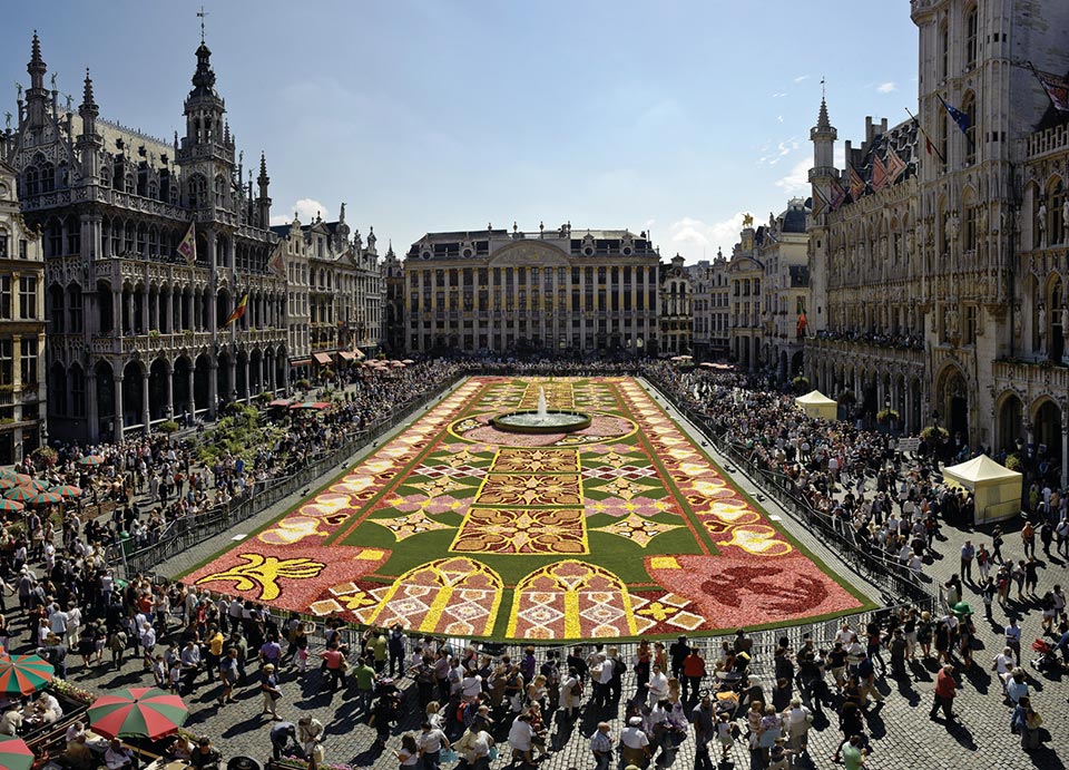 Brussels Flower Carpet