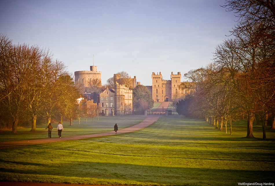 A walkthrough Windsor Great Park with Windsor Castle in the distance